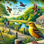 Gol Kenari NJ