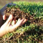 Turf Laying Services and Lawn Fertiliser