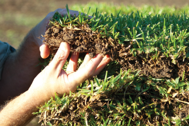 Turf Laying Services and Lawn Fertiliser