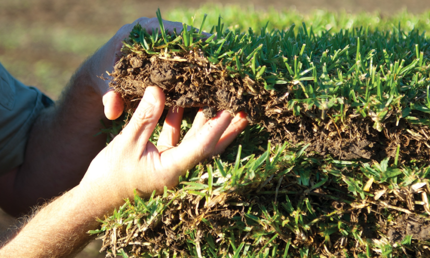 Turf Laying Services and Lawn Fertiliser